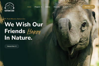 Phuket Mountain Elephant Care